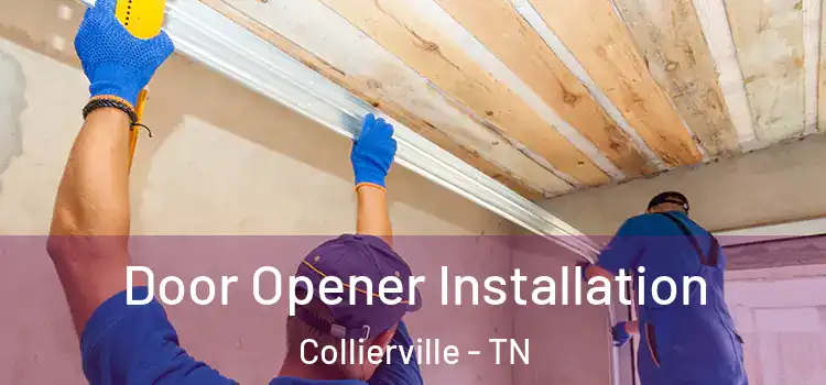 Door Opener Installation Collierville - TN