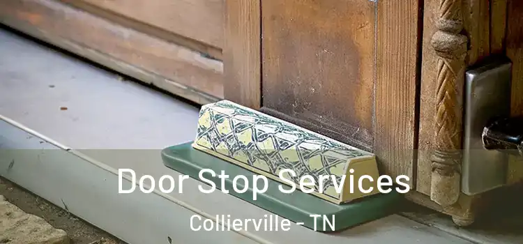Door Stop Services Collierville - TN