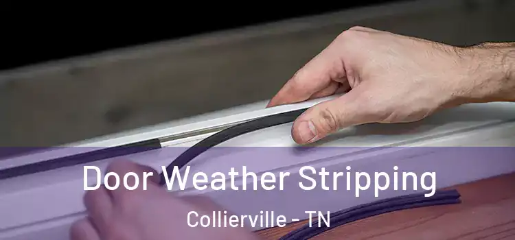 Door Weather Stripping Collierville - TN