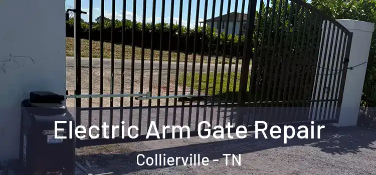 Electric Arm Gate Repair Collierville - TN