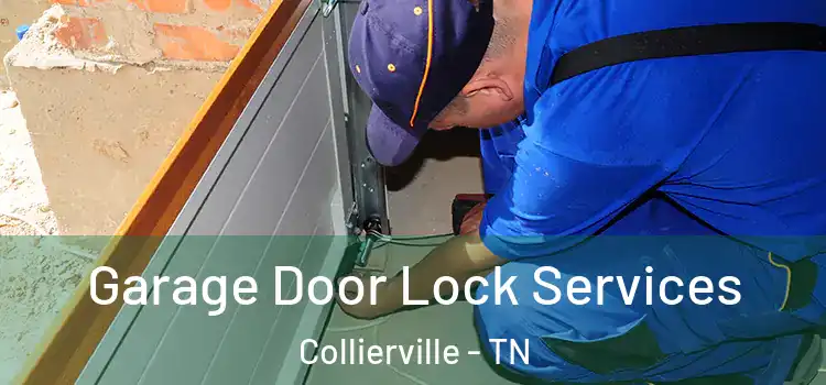Garage Door Lock Services Collierville - TN