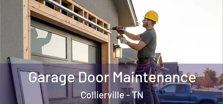 Garage Door Maintenance Collierville - TN