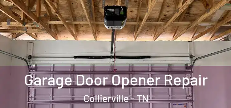  Garage Door Opener Repair Collierville - TN