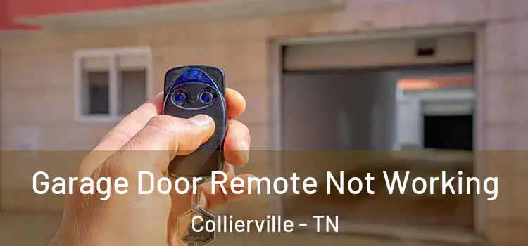  Garage Door Remote Not Working Collierville - TN