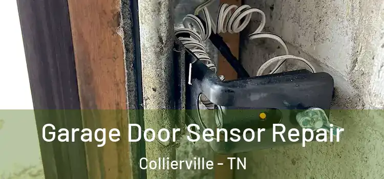 Garage Door Sensor Repair Collierville - TN