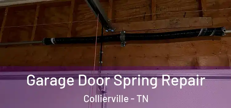  Garage Door Spring Repair Collierville - TN