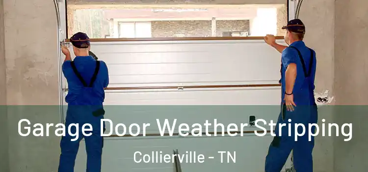  Garage Door Weather Stripping Collierville - TN