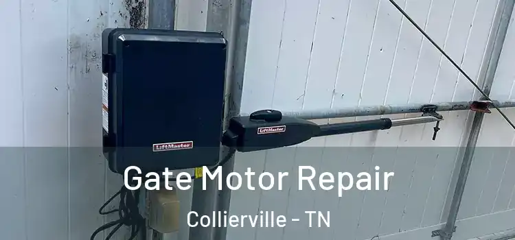Gate Motor Repair Collierville - TN
