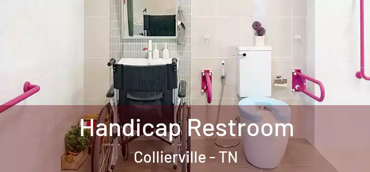 Handicap Restroom Collierville - TN