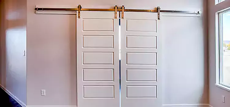 Glass Barn Door with Installation Hardware Kit Collierville