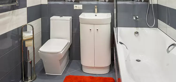 Hansgrohe Shaving Mirror Collierville