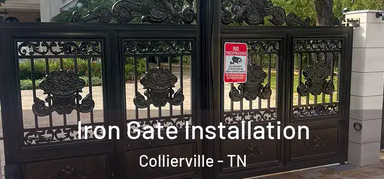 Iron Gate Installation Collierville - TN