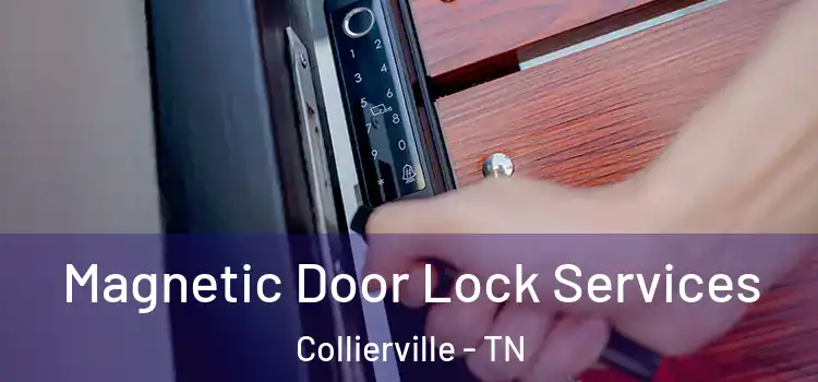 Magnetic Door Lock Services Collierville - TN