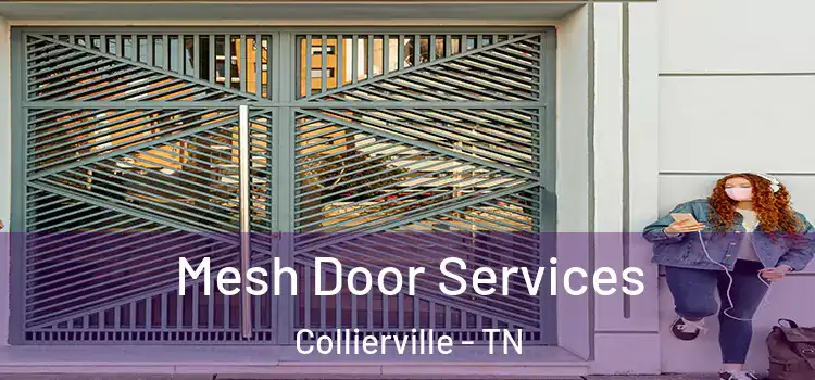 Mesh Door Services Collierville - TN