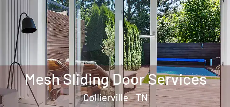 Mesh Sliding Door Services Collierville - TN