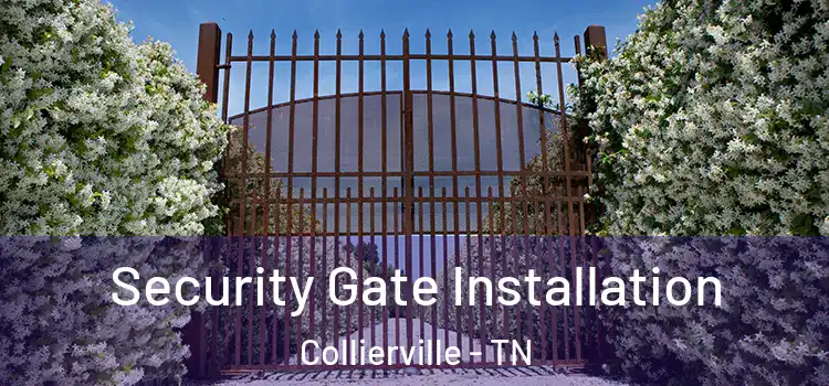Security Gate Installation Collierville - TN