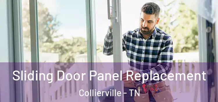 Sliding Door Panel Replacement Collierville - TN