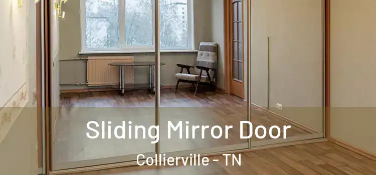  Sliding Mirror Door Collierville - TN