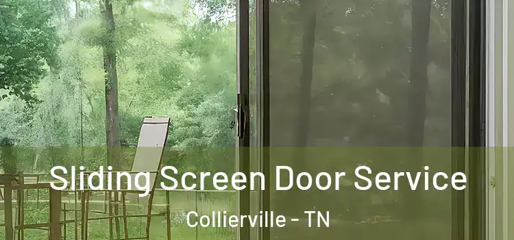 Sliding Screen Door Service Collierville - TN