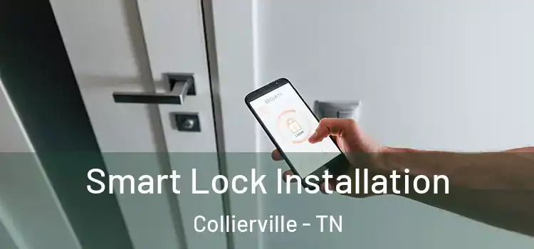 Smart Lock Installation Collierville - TN