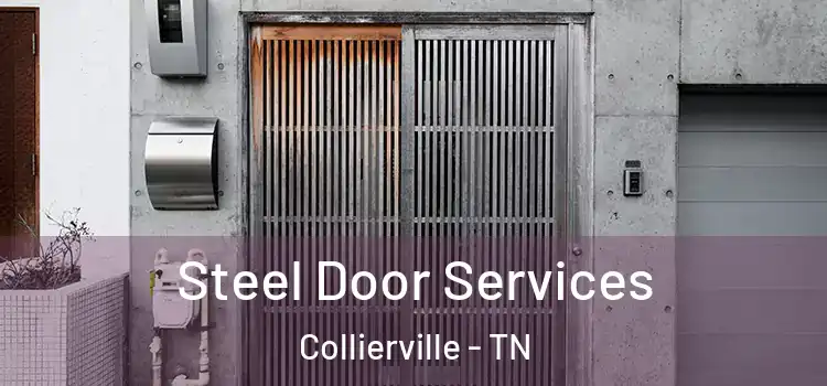 Steel Door Services Collierville - TN